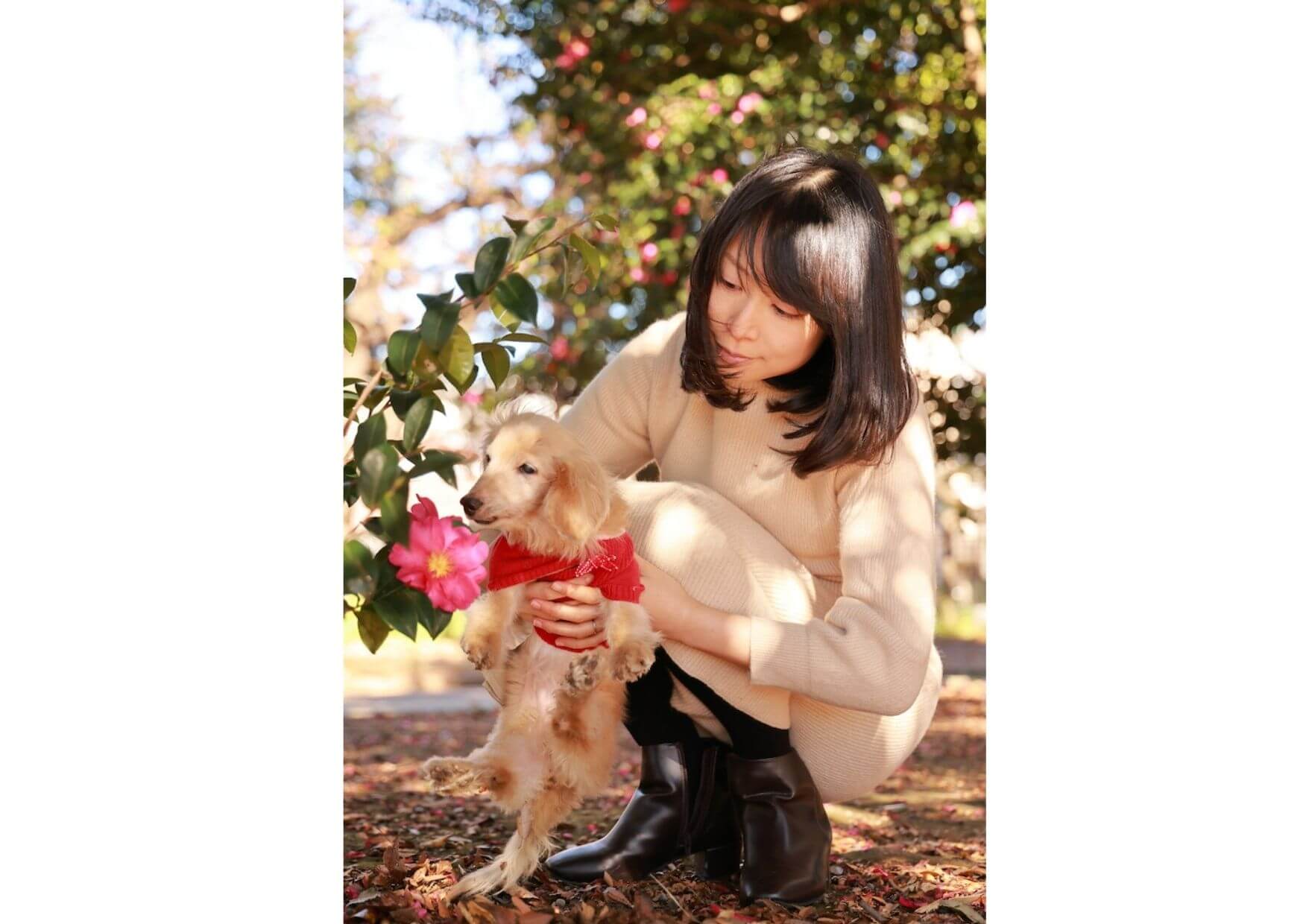 ダックスと家族