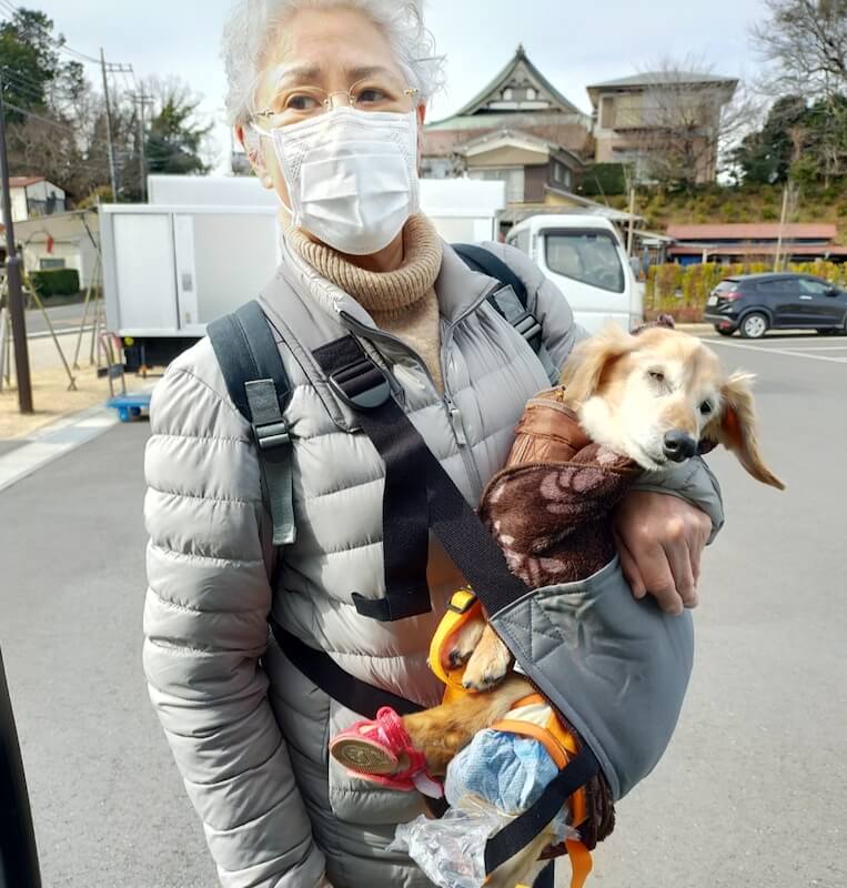 ダックスと家族