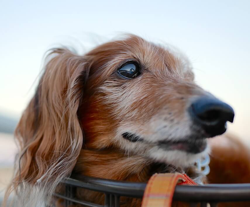 9045E698-9C9A-4A14-8089-