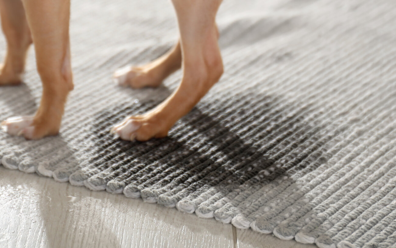 ダックスフンドライフ,ドッグライフコート