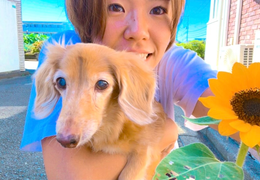 ダックスと家族