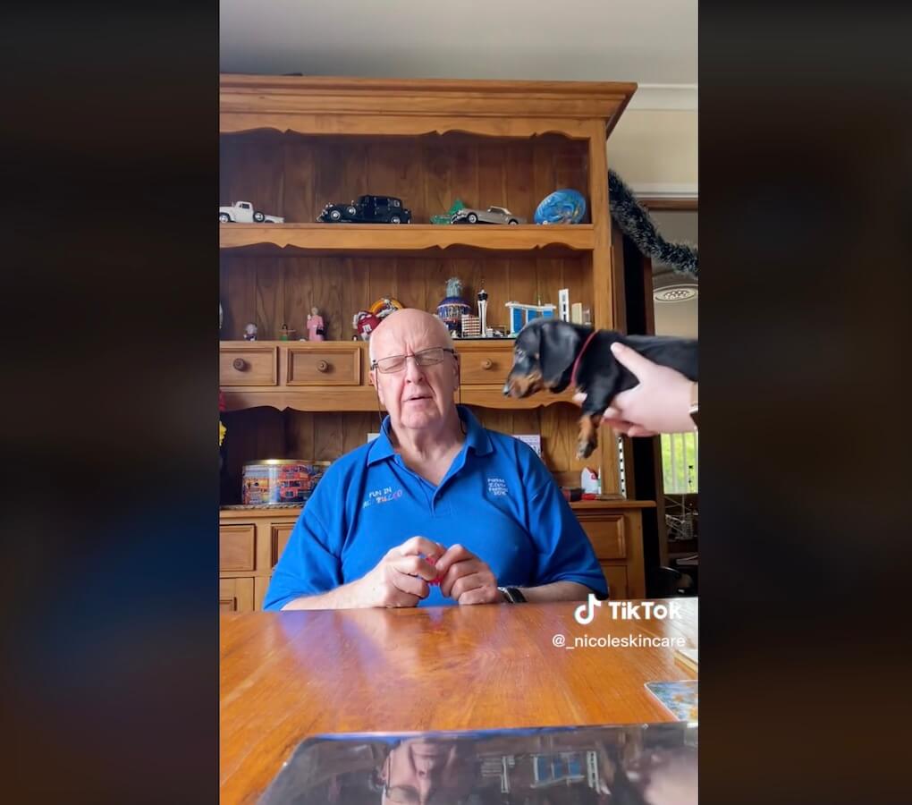 ダックスフンド,動画