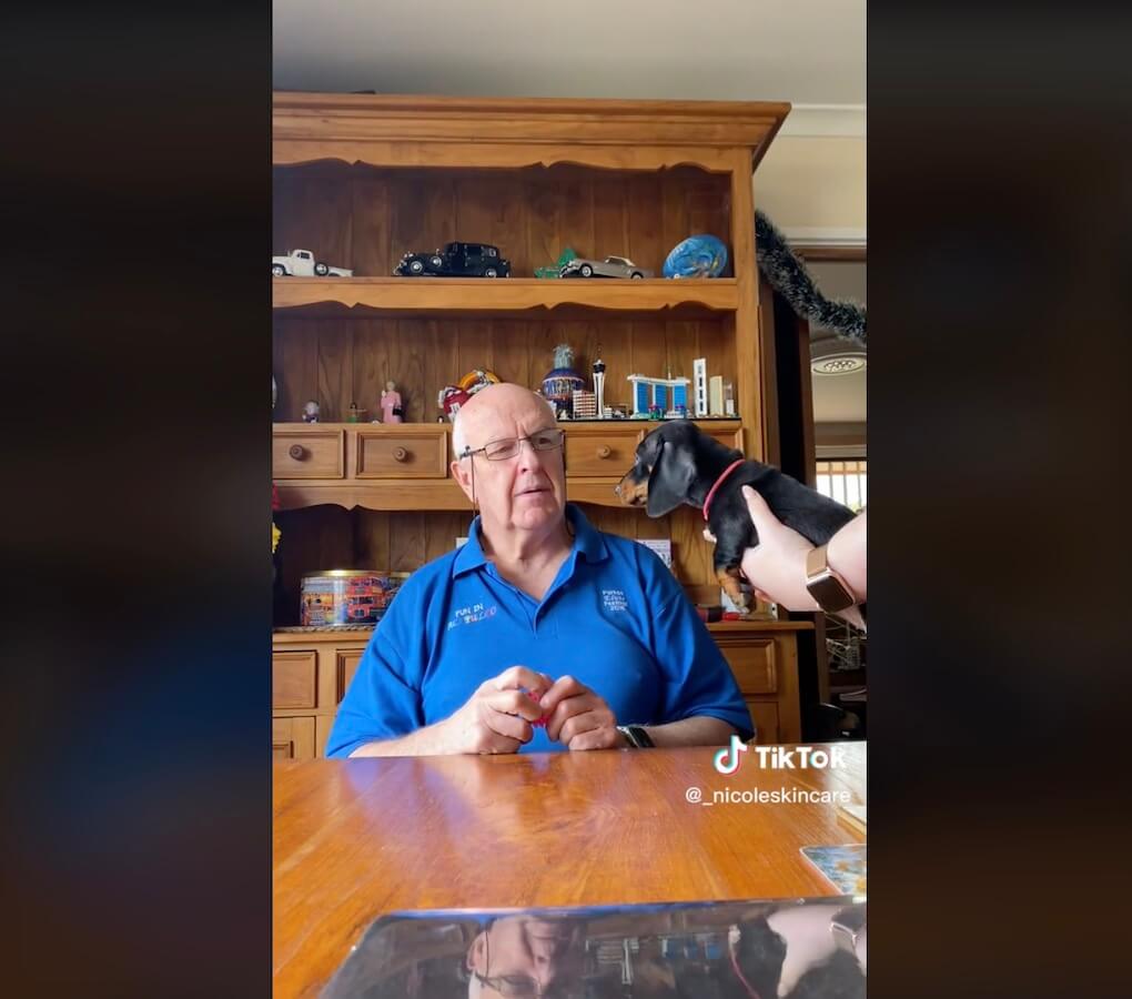 ダックスフンド,動画