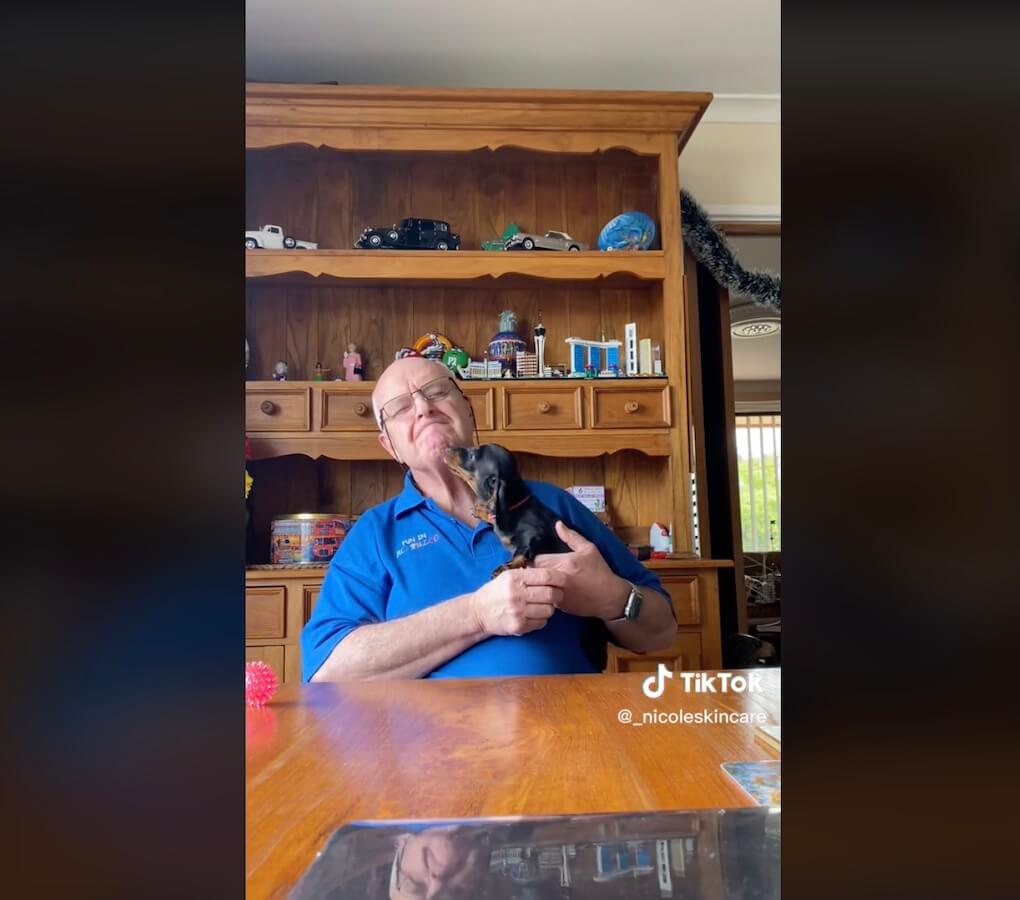 ダックスフンド,動画