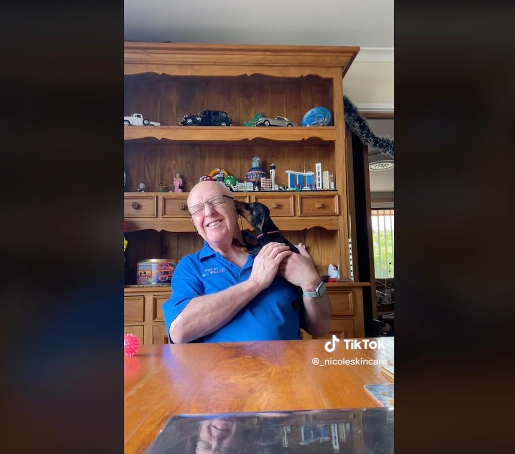 ダックスフンド,動画