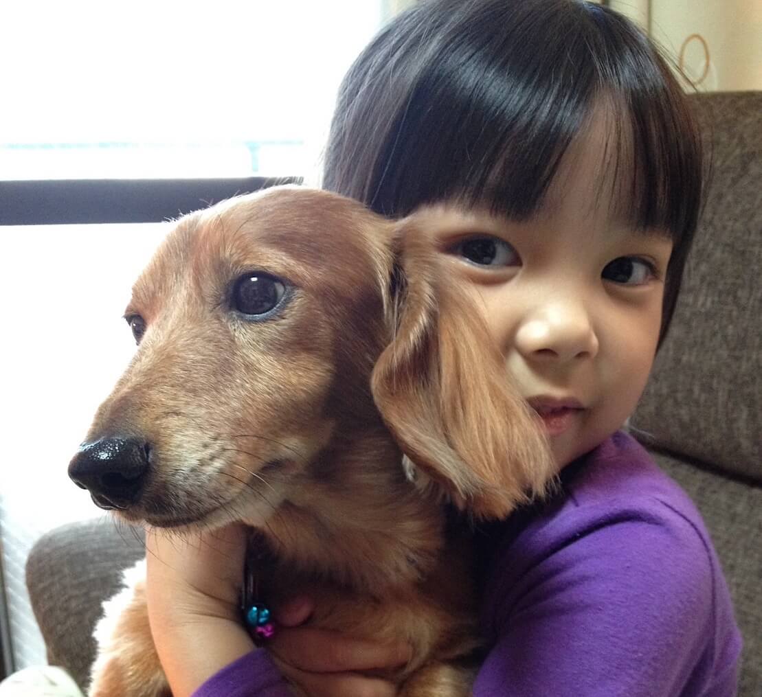 ダックスと家族