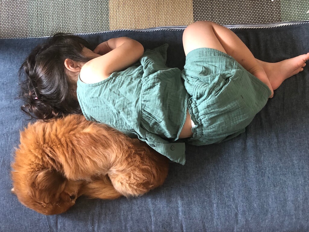 ダックスと子供