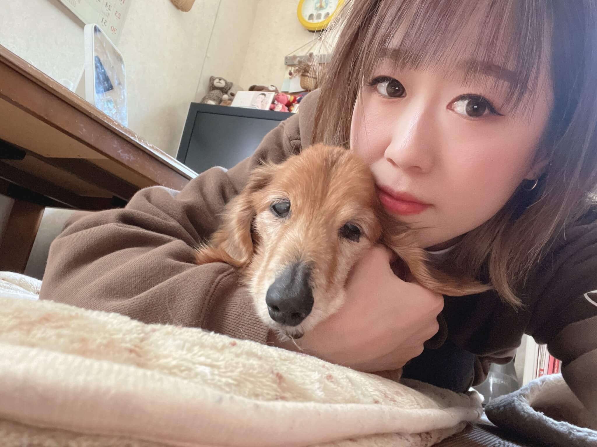 ダックスと家族