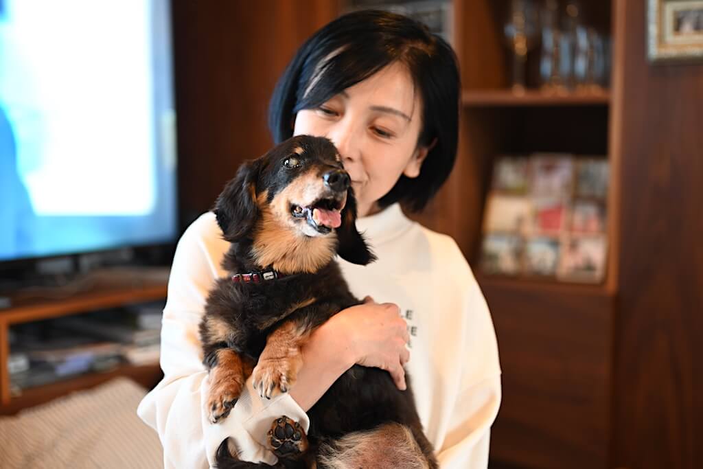 ダックスフンドと家族