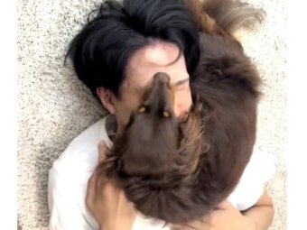 ダックスフンド,動画