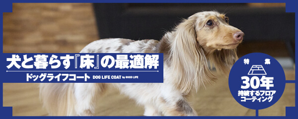 【特集】犬と暮らす『床』の最適解