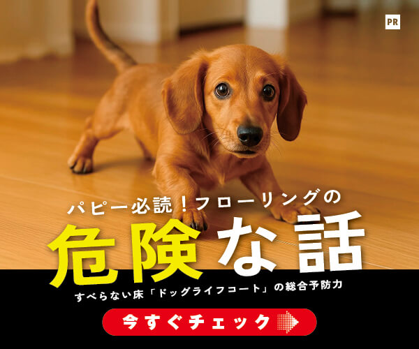 ダックスフンド