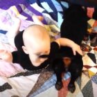 ダックスフンド,動画