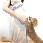 ダックスフンド,Instagram