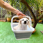 ダックスフンド,動画