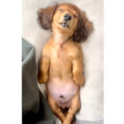 ダックスフンド,動画